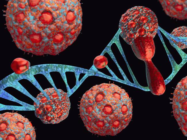 Computer generated image of monkey virus attacking DNA of humans.