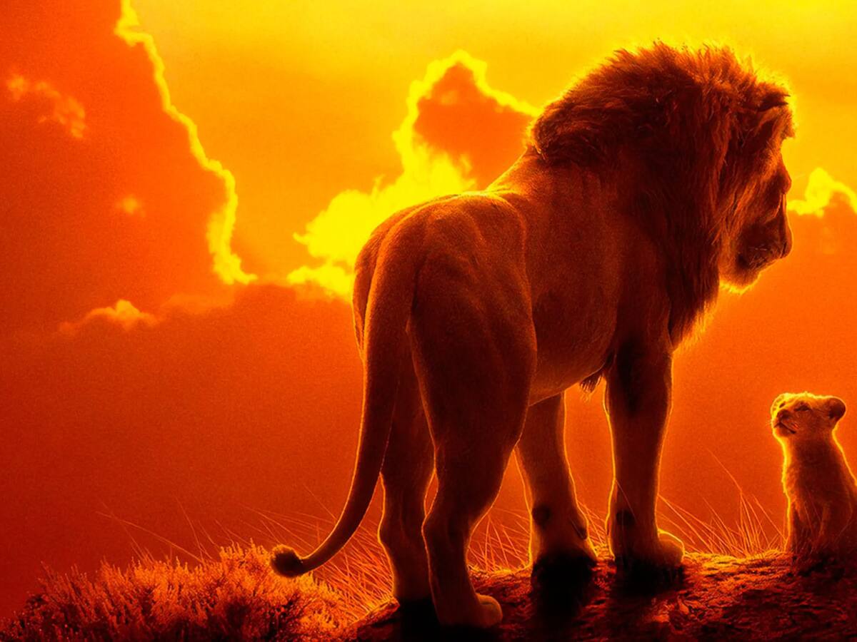 Tras el éxito de “Mufasa”: Disney tendría en carpeta un nuevo proyecto de “El rey león”