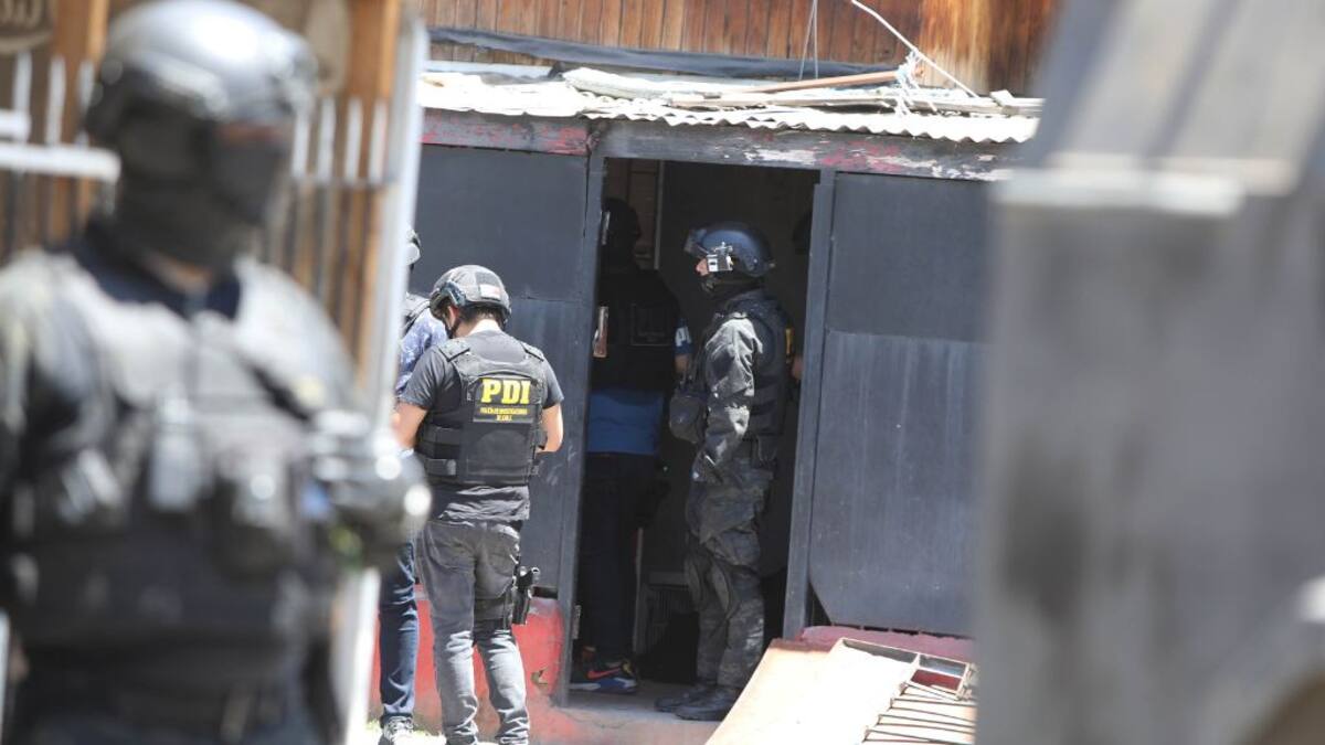 Operativo de la PDI logra desbaratar banda dedicada a la plantación y distribución de Marihuana en Santiago: avalúo de lo incautado supera los $90 millones