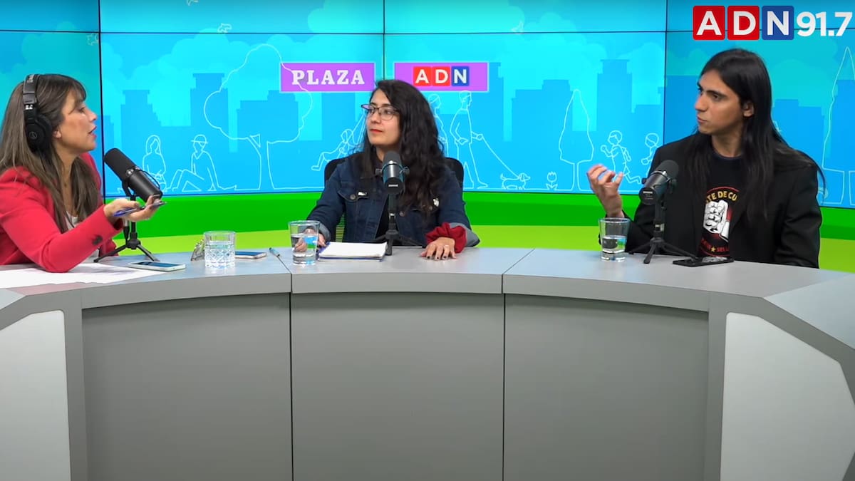 ¿Qué es ser chilenos? Voces expertas responden en Plaza ADN