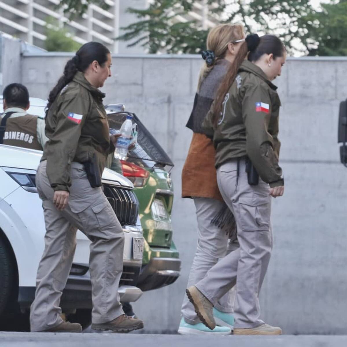 Gobierno califica detención de Ángela Vivanco como un “golpe institucional muy severo”