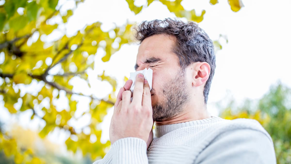 ¿Por qué te sientes tan cansado en primavera? No es solo la alergia y así lo explica un experta chilena