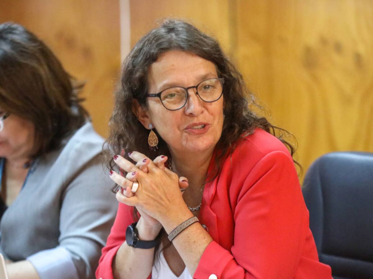 Subsecretaria de Educación y críticas por “Anótate en la lista”: “Hasta ahora no tenemos antecedentes que den cuenta de una situación irregular”