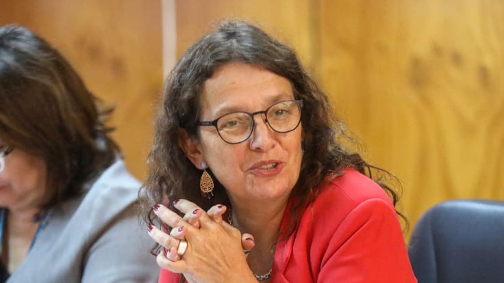 Subsecretaria de Educación, Alejandra Arratia, por "servicio de postulación premium", matrículas y más - ADN Hoy - 10 de abril de 2024