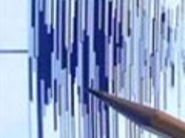 Sismólogo no descartó »una actividad mayor» en Región de O’Higgins tras reiterados temblores