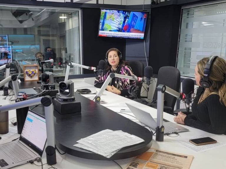 Paulina Vodanovic - minvu