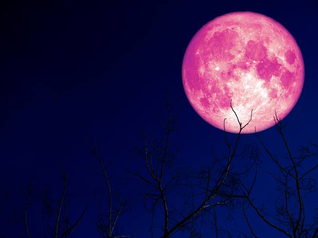 Luna de Fresa