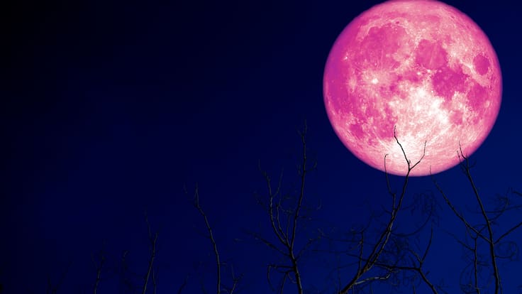 Imperdible espectáculo en el cielo: cómo y a qué hora ver la espectacular Luna de Fresa en Chile