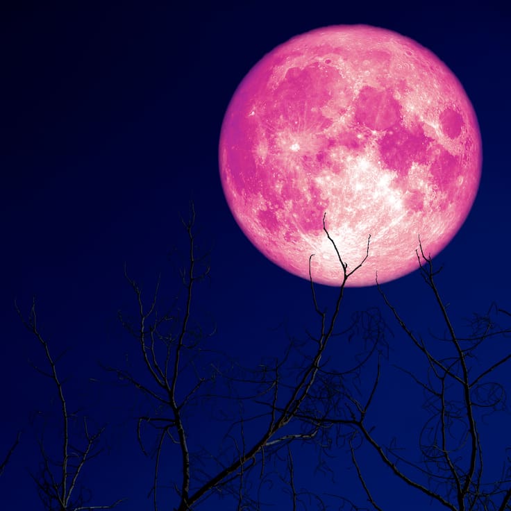 Imperdible espectáculo en el cielo: cómo y a qué hora ver la espectacular Luna de Fresa en Chile