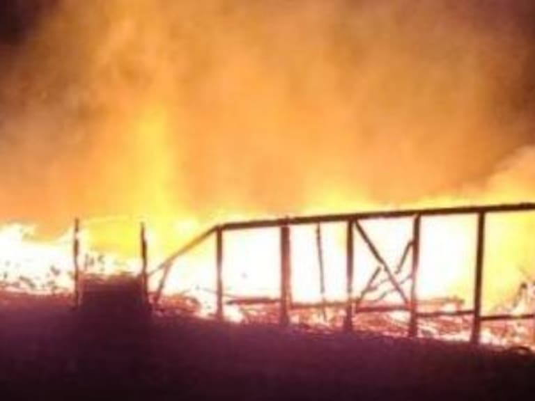 Presunto ataque incendiario: al menos 4 cabañas destruidas en Contulmo
