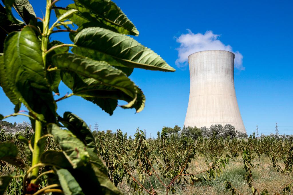 Imagen de la planta nuclear de Ascó en España