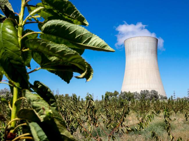 Imagen de la planta nuclear de Ascó en España