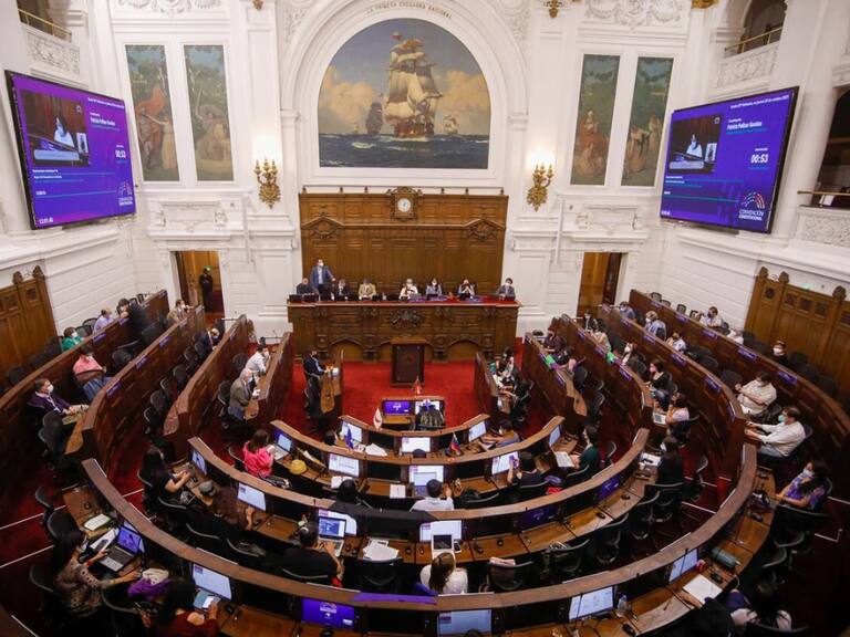 Renuncia de constituyentes - Senado - Convención Constitucional