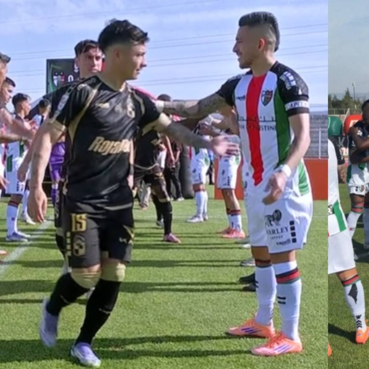 Palestino cumple y recibe a Coquimbo Unido con el pasillo al campeón
