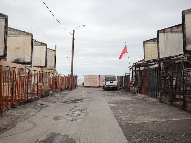 17 DE FEBRERO DE 2026/LIRQUÉN
Sector Geo Chile, tras cumplirse un mes desde los mega incendios que afectaron a sectores de Penco y Lirquén.
FOTO: RODRIGO FUICA/UNO NOTICIAS
