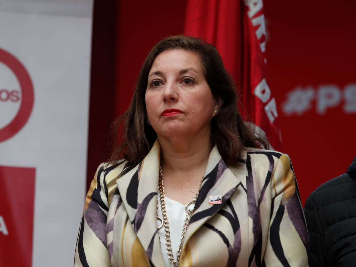Megarreforma: presidenta del PS descarta “mala fe” tras descoordinación por llegada al TC