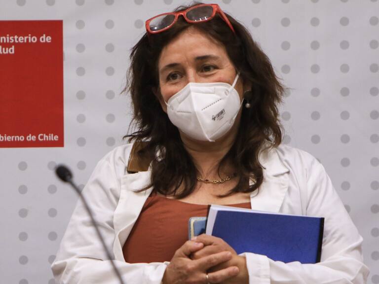 Minsal y salud mental en Chile: «Estamos al debe»