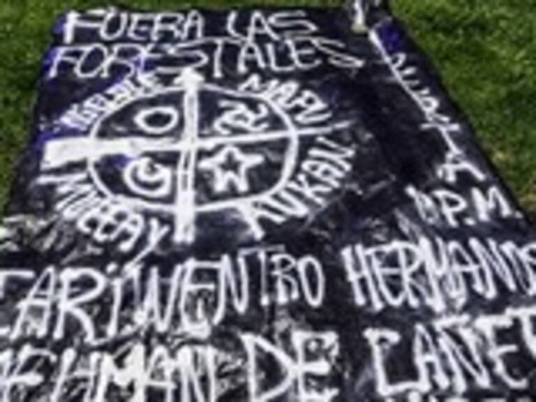 Grupo mapuche se adjudicó 38 atentados en la zona sur del país