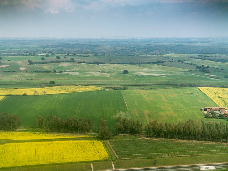 INDAP abre postulaciones a “Tierra Joven”: así puedes acceder a financiamiento para terrenos y capacitación