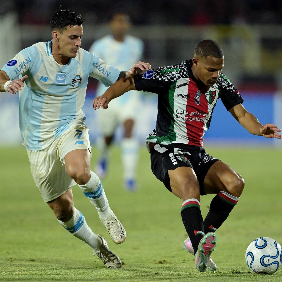 Ovación a “Zanahoria”, insultos al árbitro e hinchas “infiltrados”: el lado B del empate de Palestino ante Gremio