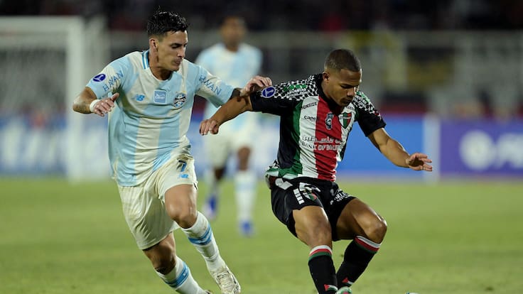 Ovación a “Zanahoria”, insultos al árbitro e hinchas “infiltrados”: el lado B del empate de Palestino ante Gremio