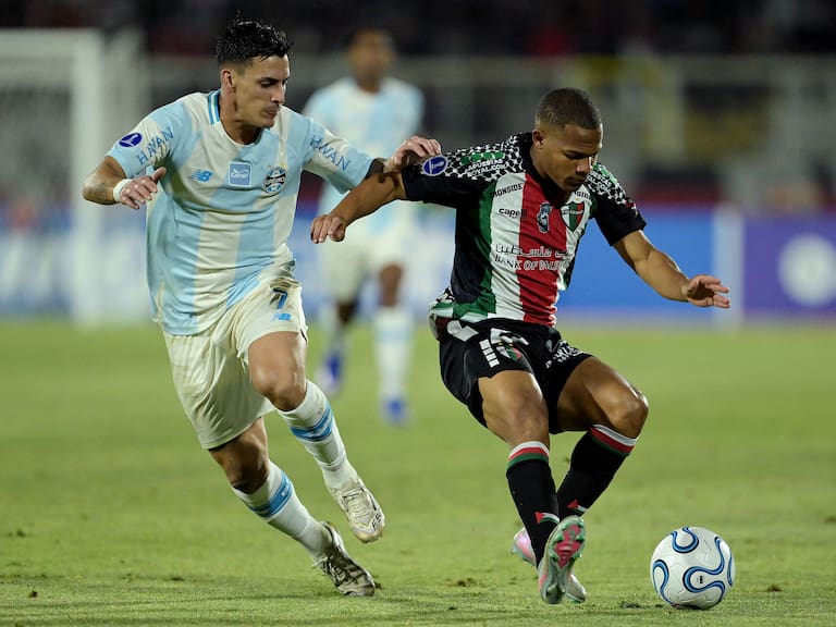 Ovación a “Zanahoria”, insultos al árbitro e hinchas “infiltrados”: el lado B del empate de Palestino ante Gremio