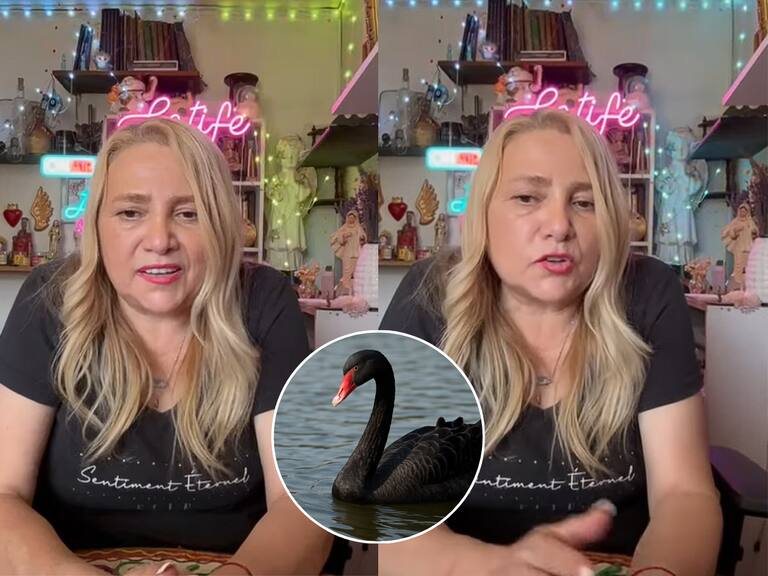 Resurge presagio de Latife Soto sobre fenómeno del “Cisne Negro” en las Elecciones 2025: adelantó tremenda sorpresa