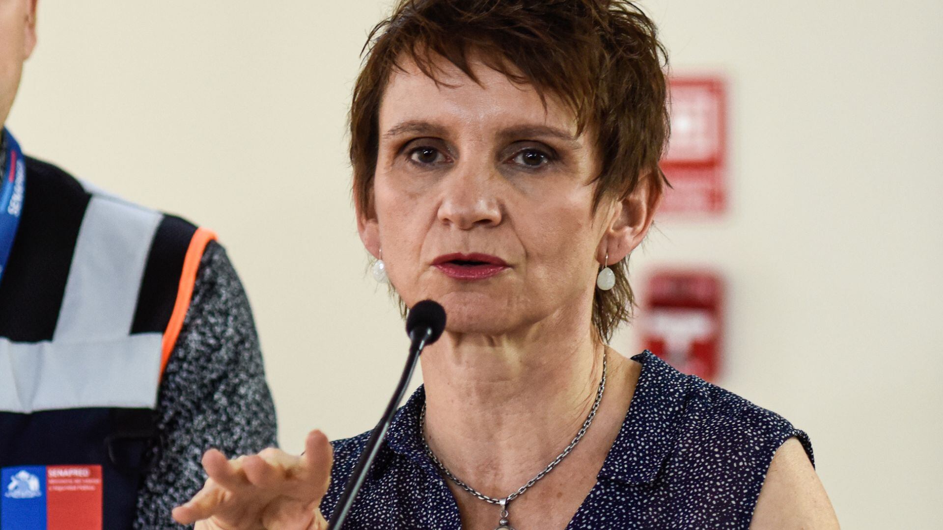 ministra del interior, incendios forestales, región Metropolitana, O'Higgins, Ñuble, Maule, Reunión con exministros, Tohá, p