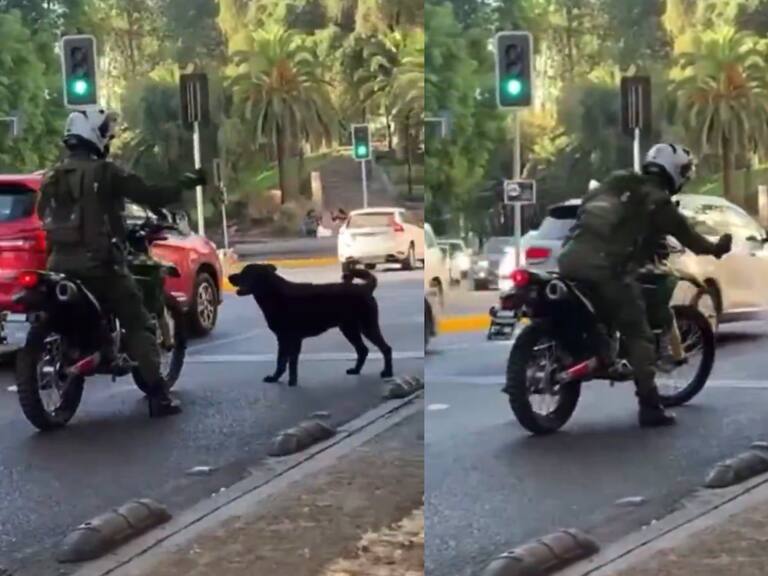 Captan a carabinero en moto lanzando spray a perro en pleno centro de Santiago: institución anunció indagatoria interna