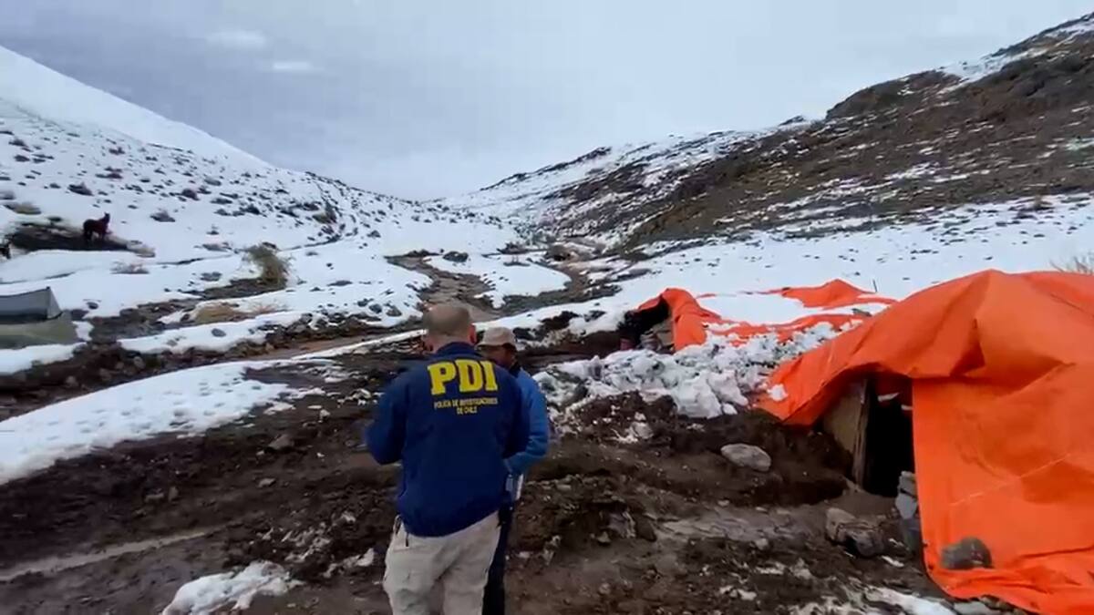 PDI y FACh ubican a dos personas aisladas en la cordillera de Alto del Carmen: uno pidió quedarse para cuidar sus animales