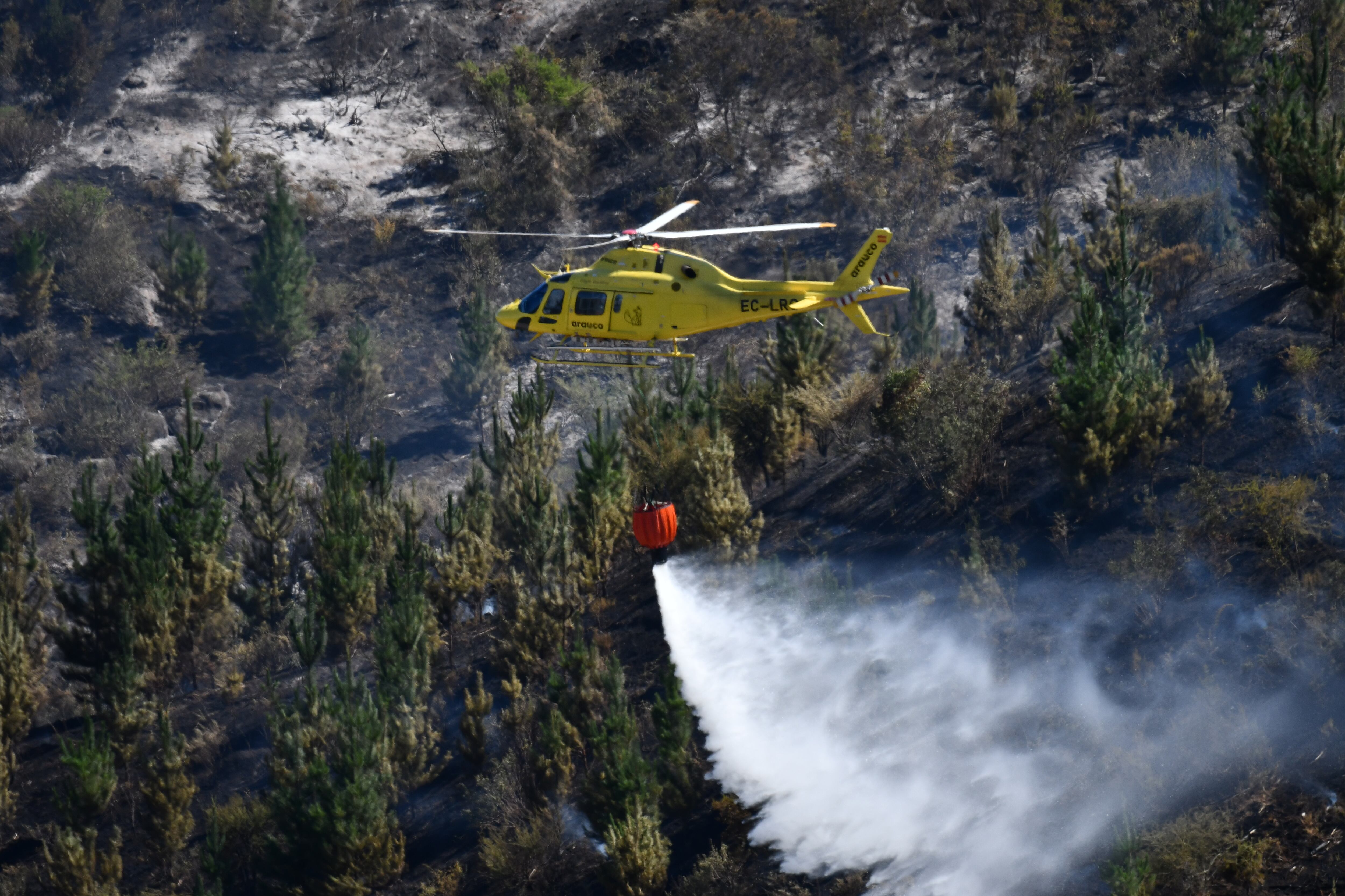 Incendio forestal