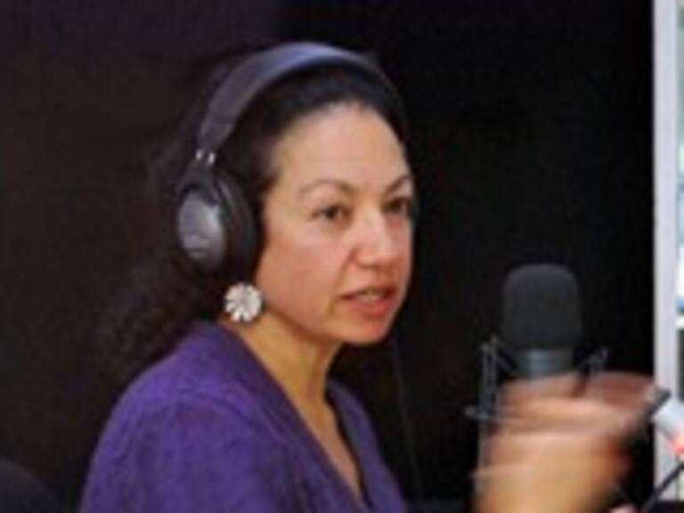 Voz del Metro: »No me gusta que en cada estación digan precaución con el cierre de puertas»