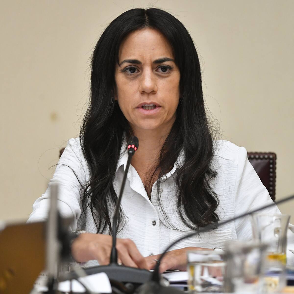 “Fue un error votarlo sin haberlo revisado”: tras votar a favor, Paulina Núñez (RN) critica ley de conmutación de penas