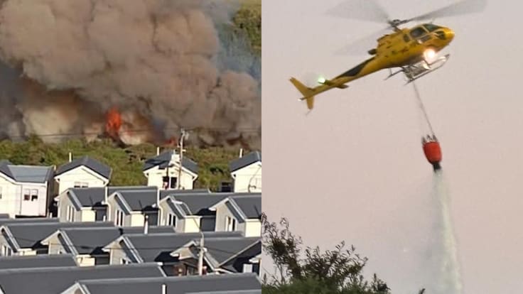 Incendio forestal en Castro: evacuan a más de 20 familias por riesgo de propagacion