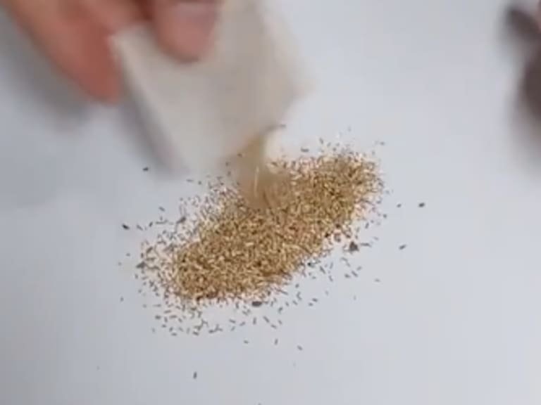 Té supremo es acusado de poseer partículas de metal.