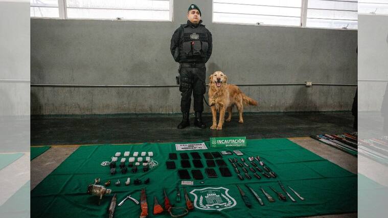 Gendarmería, allanamiento, operativo, 1024x576 jpg ok