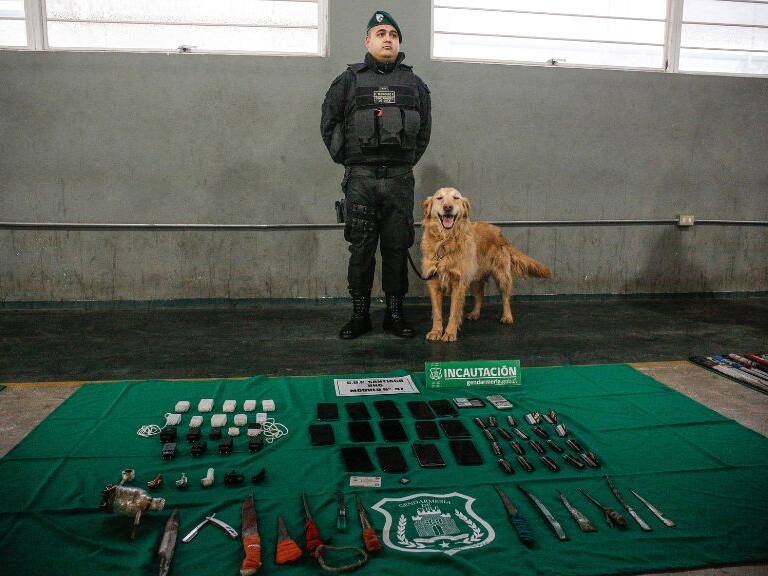 Gendarmería, allanamiento, operativo, 1024x576 jpg ok