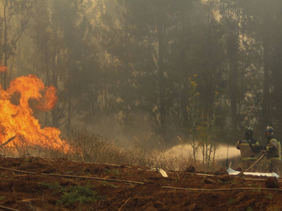 Incendios forestales en el país llegan a 296: 60 de estos se encuentran en combate