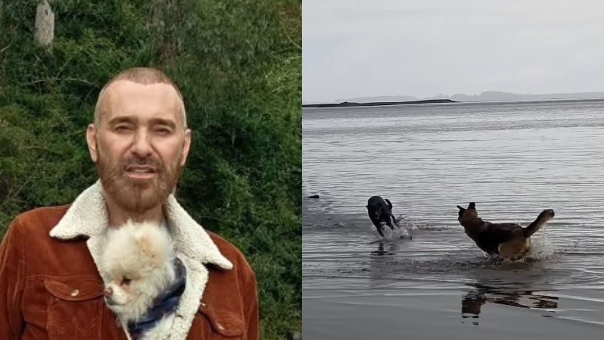 “Ahuyentan a flamencos y otras aves”: Denuncian que Jordi Castell soltó a sus perros en santuario animal en Chiloé