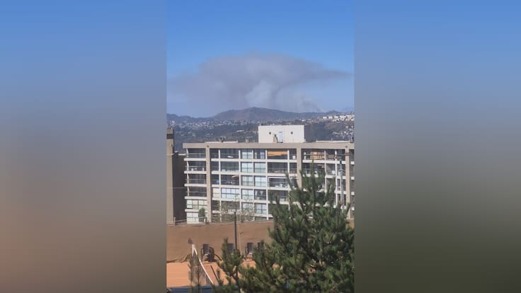 Múltiples incendios activos complican a la región de Valparaíso