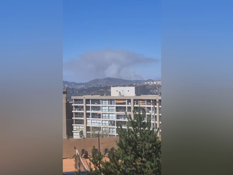 Múltiples incendios activos complican a la región de Valparaíso