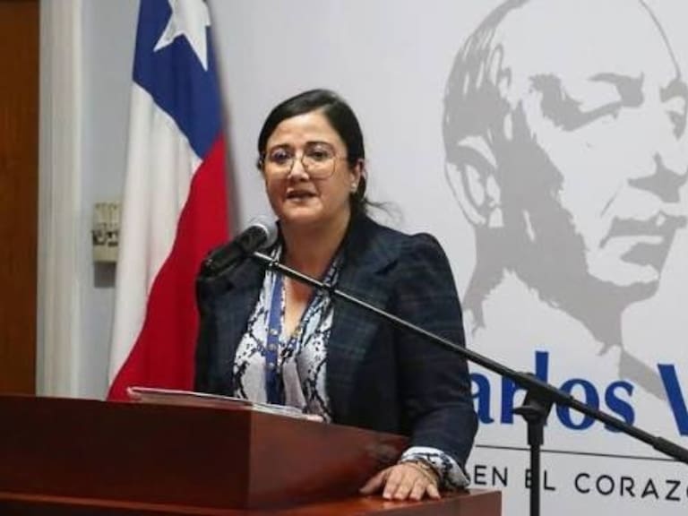 Corte ordena reincorporar a exdirectora del Hospital de San Antonio tras despido por contratar a exministra de Gabriel Boric