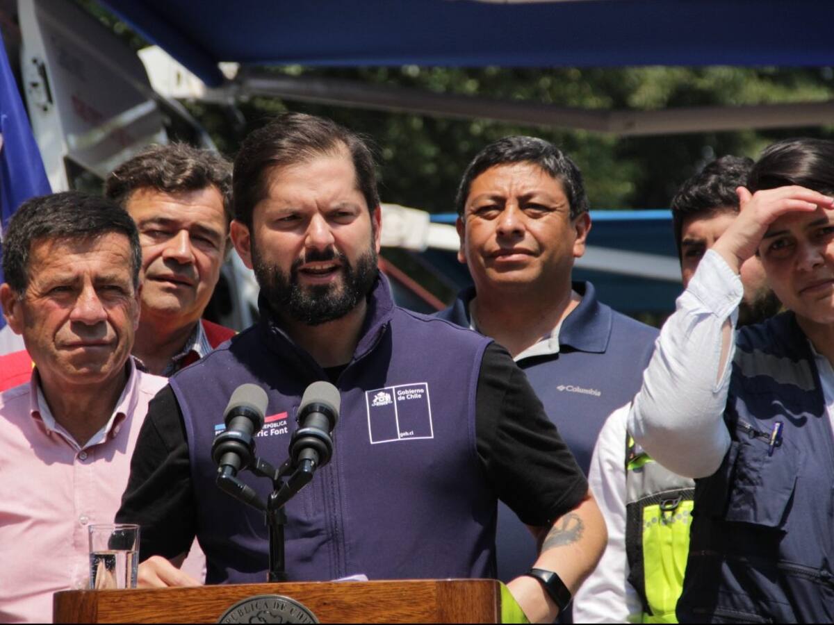 Cadem: 68% considera que el Gobierno no tomó las decisiones de forma oportuna para enfrentar los incendios forestales