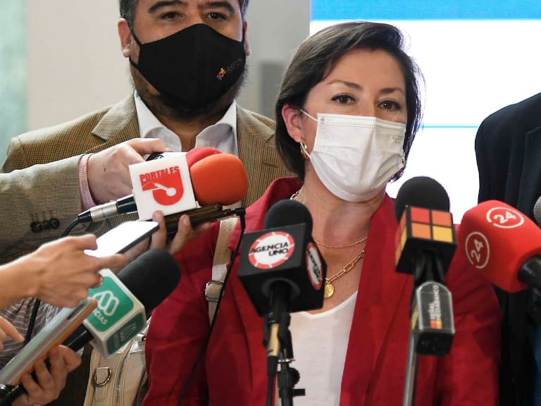 Presidenta de las Pymes y plan «Chile Apoya»: «Está bastante deficiente, no hay una mirada sistémica»