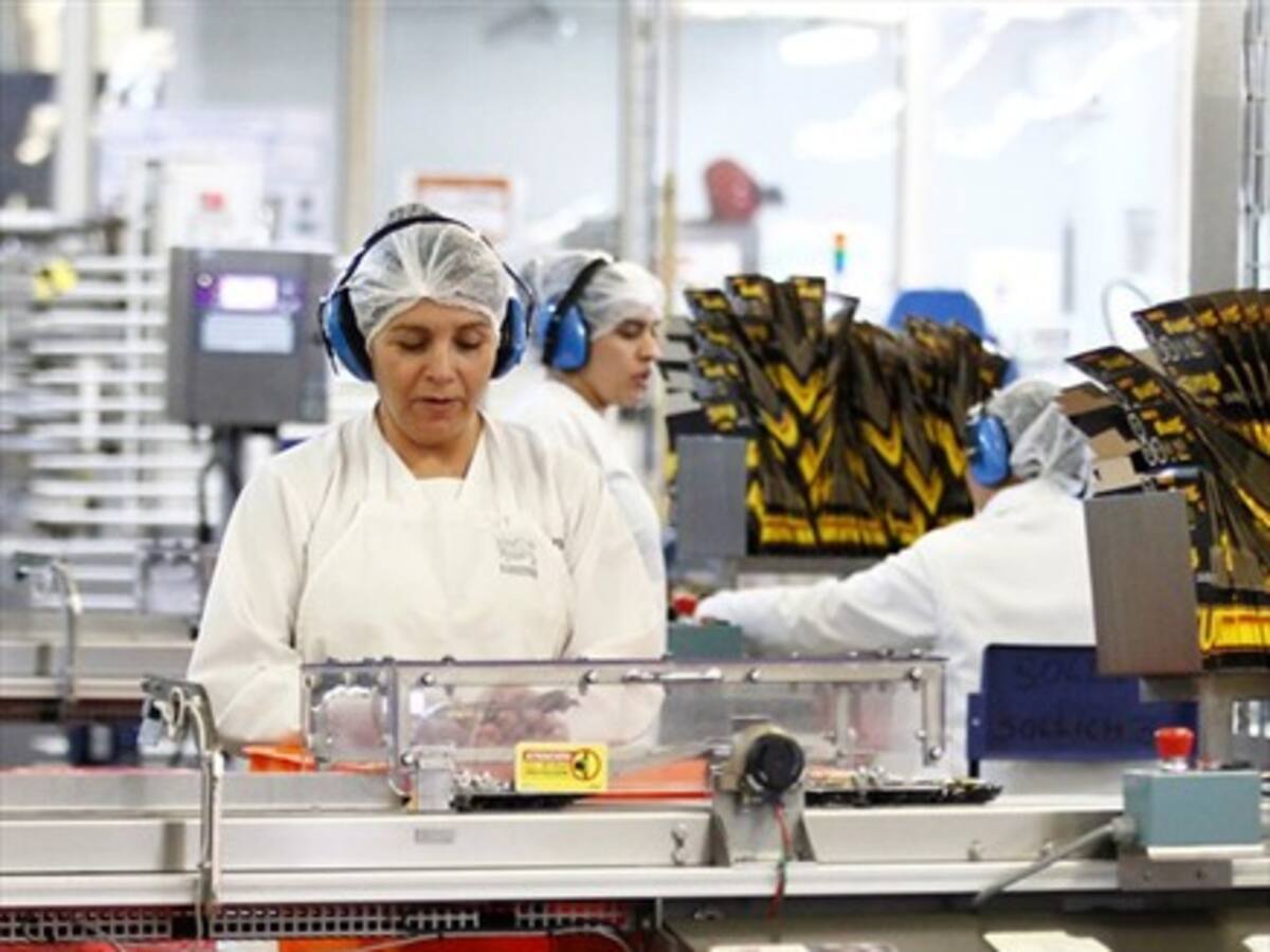 La actividad económica creció 3,1 % en noviembre