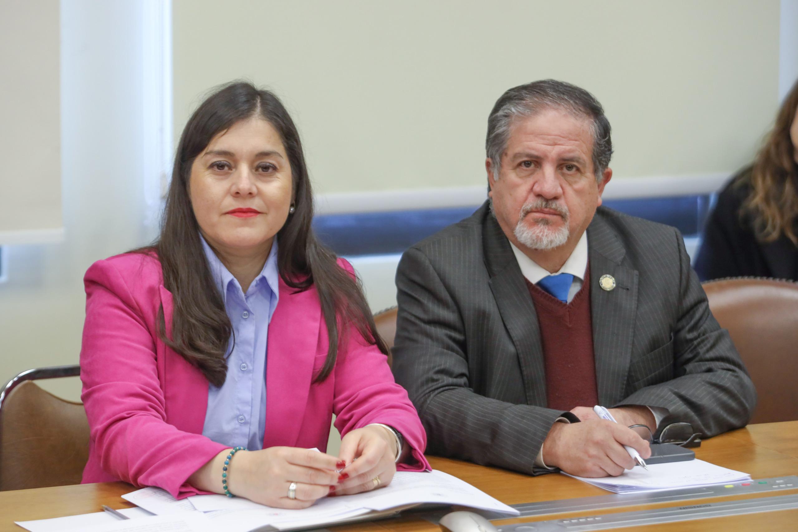 Diputados representantes de la Región del Biobío, Karen Medina (IND-DC) y Roberto Arroyo (PSC)