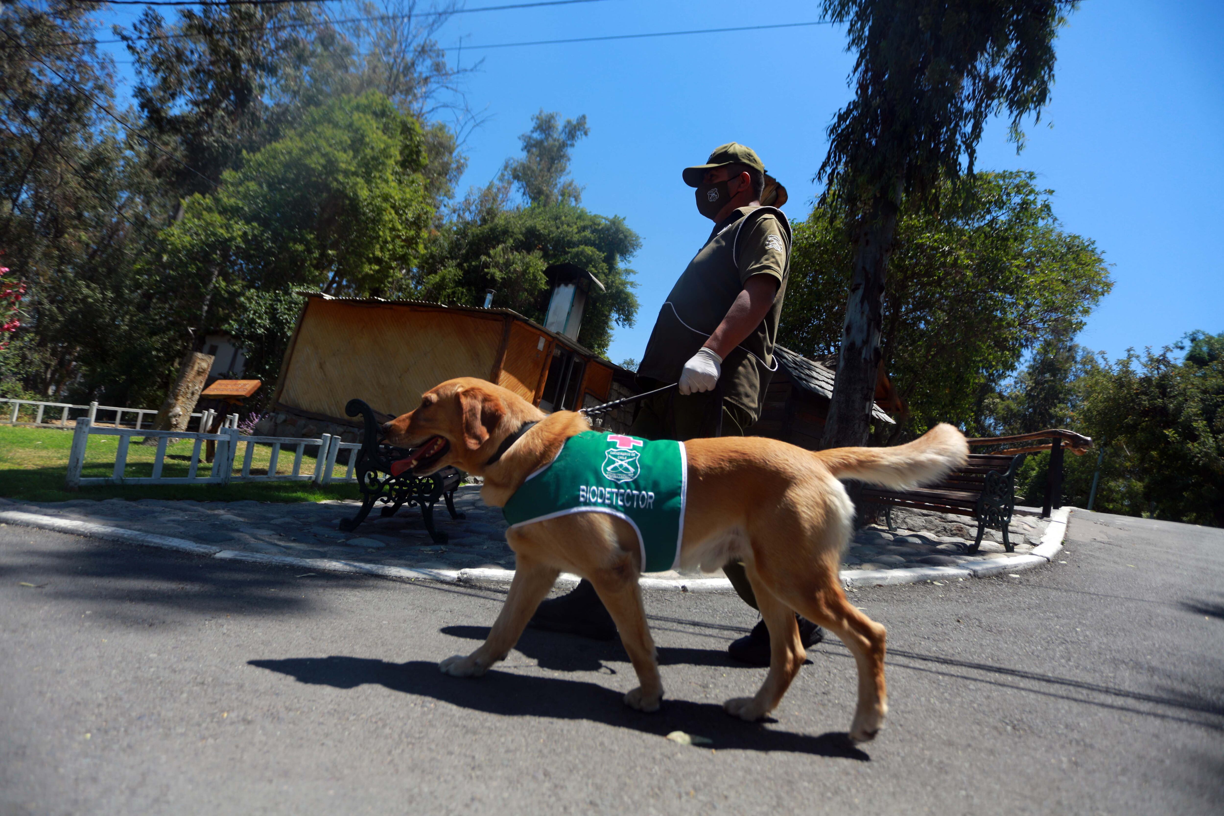Perro biodetector / Agencia Uno