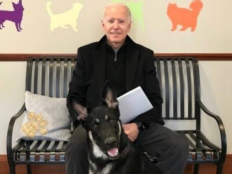 Major, el perro de Joe Biden que vivirá en la Casa Blanca