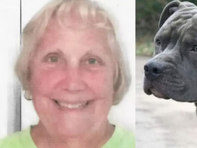 Horror en Ohio: mujer de 73 años muere tras brutal ataque de perros bajo efectos de cocaína