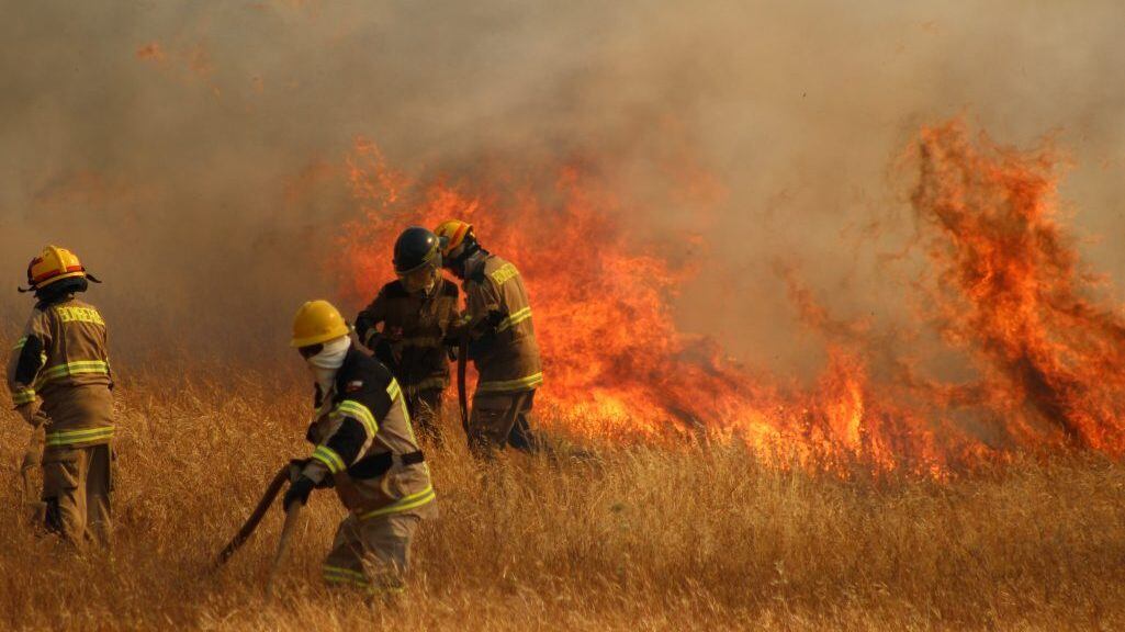 24 de Diciembre 2021/ CHILLAN.
Incendio se mantiene descontrolado y ha afectado a los sectores Chancal, Danquilco, Santa Ana del Baúl, San José del Baúl, El Olivar, Quebrada de Buyuquil, Coyanco, El Sauzal. En esta zona, el incendio retrocedió por el fundo La Bodega y Santa Ana del Baúl, en la comuna de Quillón, Región de Ñuble
- Más de 1.100 hectáreas de terreno boscoso y pastizales consumidos.
- 150 efectivos de bomberos y Conaf de toda la región, de encuentran trabajando.
- Cuatro helicópteros de Conaf, dos de Arauco y tres avionetas de Conaf apoyando la labor de extinción.
FOTO: JOSÉ CAMPOS / AGENCIAUNO